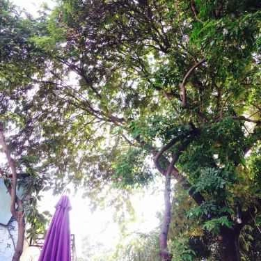Tổng hợp- Đen' Coffee - Nguyễn Súy