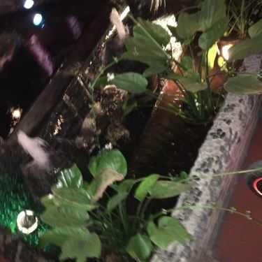 Tổng hợp- Vườn Nhà Ai Cafe
