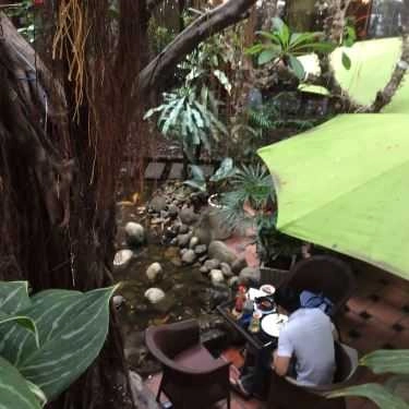 Tổng hợp- Vườn Thiên Tuế Cafe