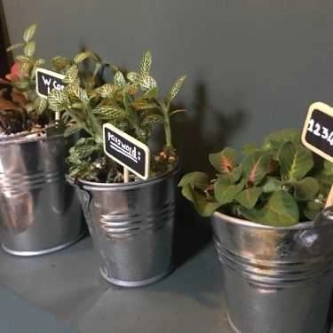 Tổng hợp- W Corner Coffee