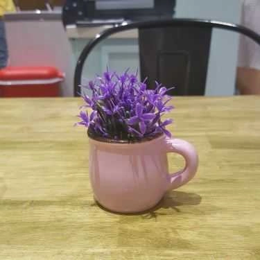 Tổng hợp- Cafe Waffle Place - Bánh Tổ Ong Nướng - Pearl Plaza