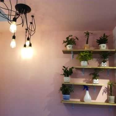 Tổng hợp- Cafe Want Tea