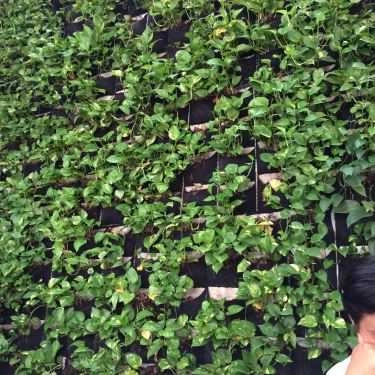 Tổng hợp- Cà Phê Chồn - Nguyễn Thái Bình