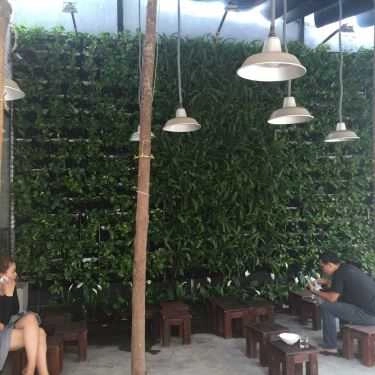 Tổng hợp- Cà Phê Chồn - Nguyễn Thái Bình