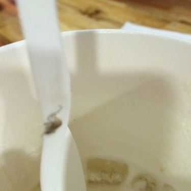 Tổng hợp- Cafe Whippy Tea