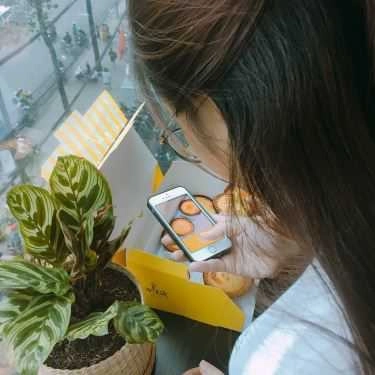 Tổng hợp- Tiệm Bánh Whisk - Bánh Cheese Tart - Bitexco Tower