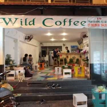 Tổng hợp- Wild Coffee