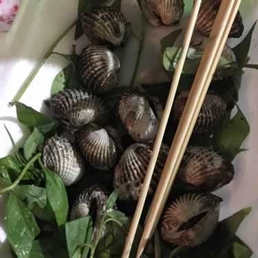 Tổng hợp- Ăn vặt Xe Ốc 20K