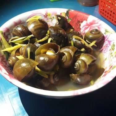 Món ăn- Ăn vặt Xe Ốc Đêm