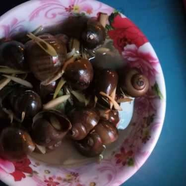 Món ăn- Ăn vặt Xe Ốc Đêm