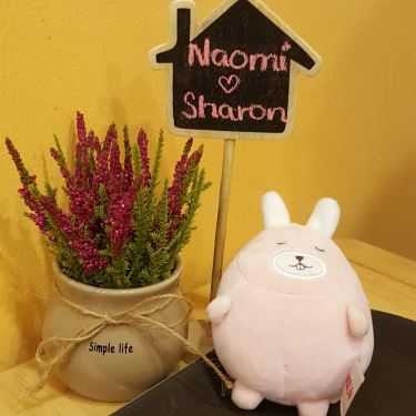 Tổng hợp- Cafe XiaoBan Soya Singapore - Đinh Tiên Hoàng