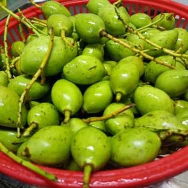 Tổng hợp- Xoài Non Minh Phát - Shop Online