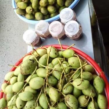 Tổng hợp- Xoài Non Minh Phát - Shop Online