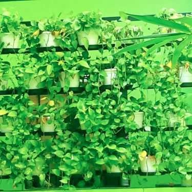 Tổng hợp- Ăn vặt Xôi Chè Bùi Thị Xuân - Vườn Lài