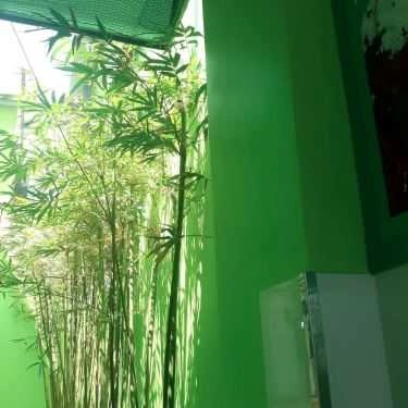 Tổng hợp- Ăn vặt Xôi Chè Bùi Thị Xuân - Vườn Lài
