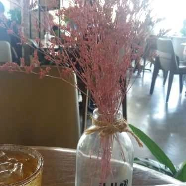 Tổng hợp- Y26 Coffee