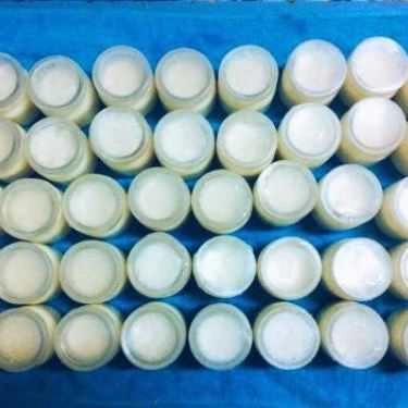 Tổng hợp- Ăn vặt Ya Ua Sữa Dê Nguyên Chất