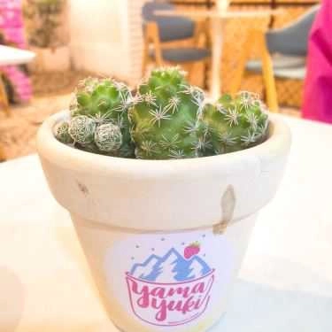 Tổng hợp- Cafe Yamayuki - Kem Gelato Nhật Bản