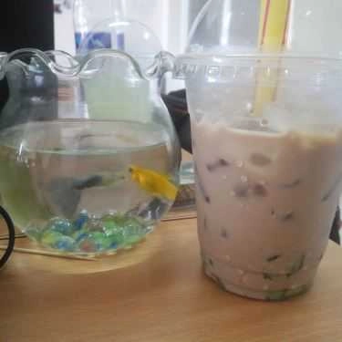 Món ăn- Yo Coffee