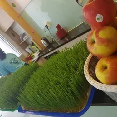 Tổng hợp- Cafe Yobo - Nước Ép Rau Củ Sạch