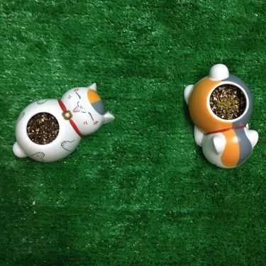 Tổng hợp- Yolo Koncept Cafe