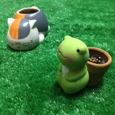 Tổng hợp- Yolo Koncept Cafe