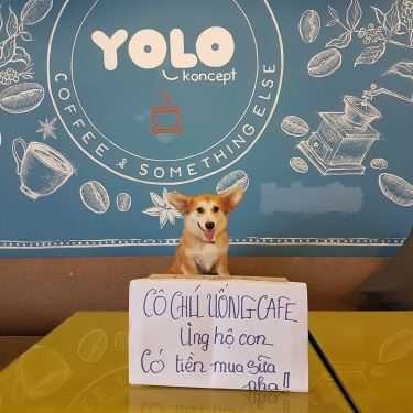 Tổng hợp- Yolo Koncept Cafe
