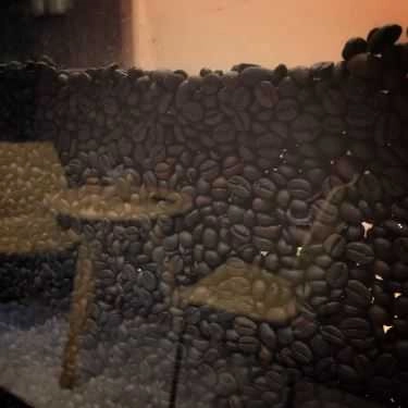 Tổng hợp- Zen Cafe