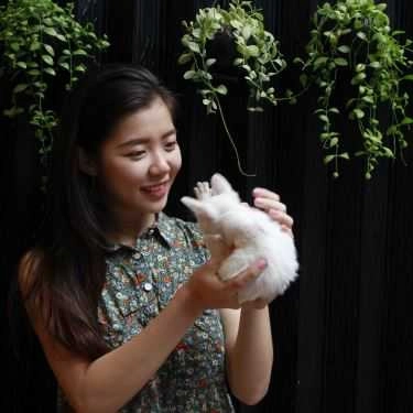 Tổng hợp- Zentopia Coffee