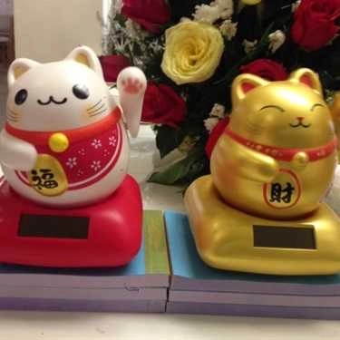 Tổng hợp- Zest Café - Hòa Bình