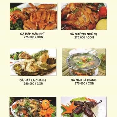 Thực đơn- Quán Nhậu Zozo - Đặc Sản Heo Tộc, Chim Trời & Gà Ri