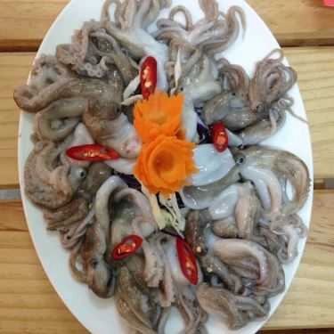 Tổng hợp- Quán Nhậu Zozo - Đặc Sản Heo Tộc, Chim Trời & Gà Ri