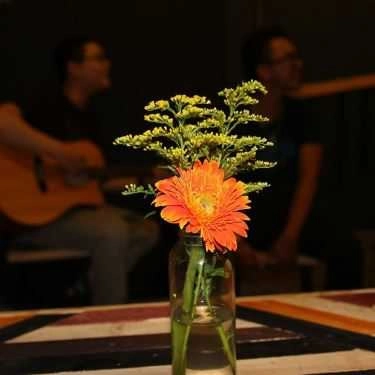 Tổng hợp- Ztam Café