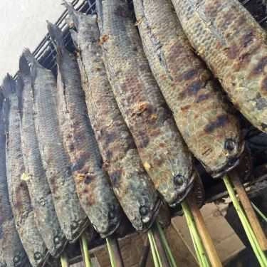 Món ăn- Quán Ăn Cá Lóc Nướng Sả 52