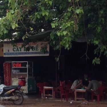 Tổng hợp- Quán Ăn Cây Bồ Đề - Quán Cơm