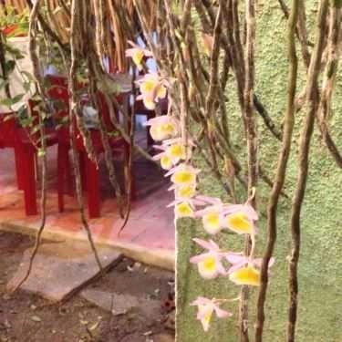 Tổng hợp- Quán Ăn Ba Hưng Quán - Ẩm Thực Thuần Việt