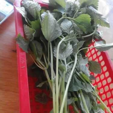 Tổng hợp- Quán Ăn Hoàng Phú - Bún Cá Rô Đồng, Bánh Đa Cua & Bún Chả Nướng