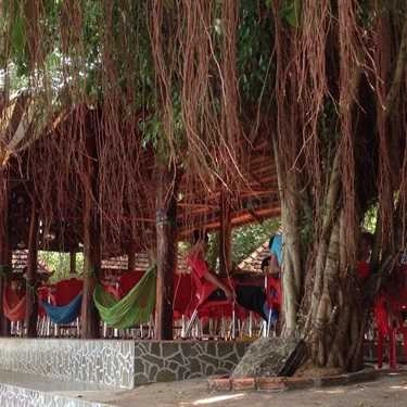 Không gian- Khúc Thụy Du Cafe