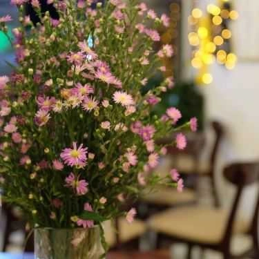 Tổng hợp- Lyn's Cafe