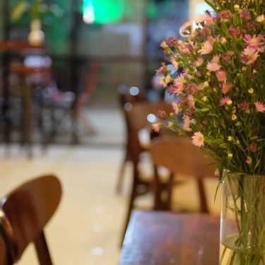 Tổng hợp- Lyn's Cafe
