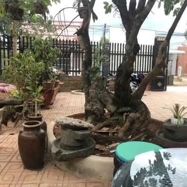 Tổng hợp- Quán Ăn Miền Trung Quán
