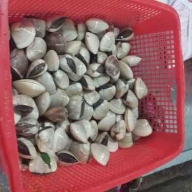 Tổng hợp- Quán Ăn Ốc Năm Nhớ - Hải Sản Tươi Sống
