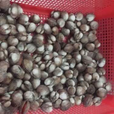Tổng hợp- Quán Ăn Ốc Năm Nhớ - Hải Sản Tươi Sống