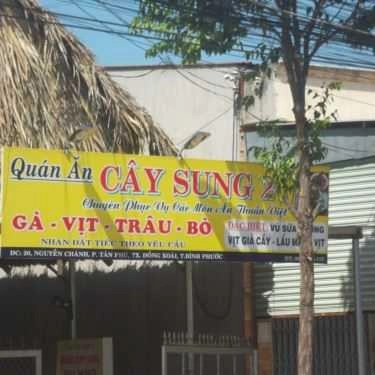 Tổng hợp- Cây Sung 2 - Quán Ăn Thuần Việt