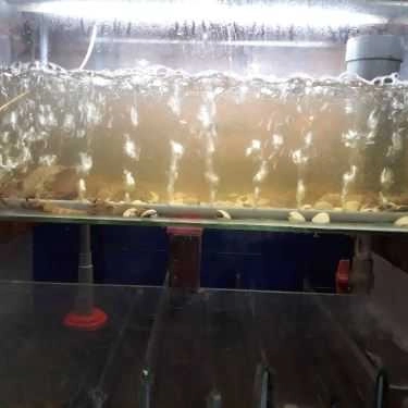 Tổng hợp- Quán Ăn Hai Hiền - Hải Sản & Ẩm Thực 3 Miền