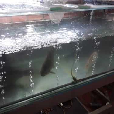 Tổng hợp- Quán Ăn Hai Hiền - Hải Sản & Ẩm Thực 3 Miền