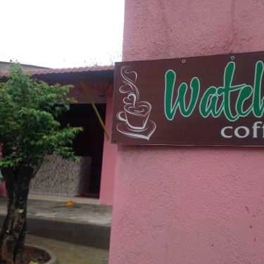 Tổng hợp- Watcha Cafe