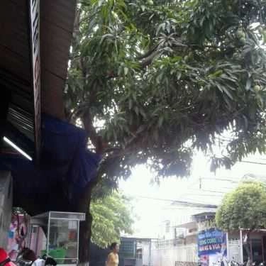 Tổng hợp- Quán Ăn Bánh Xèo Cây Xoài