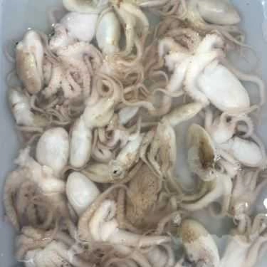 Tổng hợp- Bờ Kè 888 - Quán Ăn Gia Đình