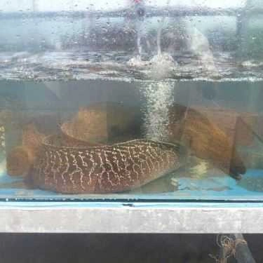 Món ăn- Nhà Hàng Bờ Kè Lobster - Nguyễn Đình Chiểu